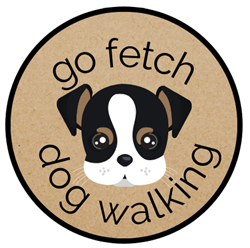 Go Fetch dog walking in South Gloucestershire